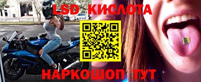 сатива Аргун