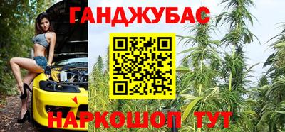 сатива Аргун
