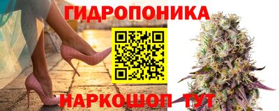 эйфоретик Апшеронск