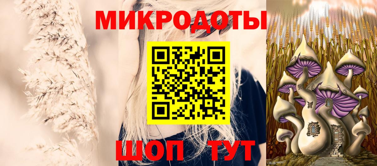 Псилоцибиновые грибы Psilocybine cubensis Белореченск