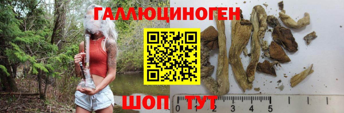 Галлюциногенные грибы Psilocybe  Псилоцибиновые грибы Psilocybe  купить наркотики сайты  Белореченск  Вход с VPN 